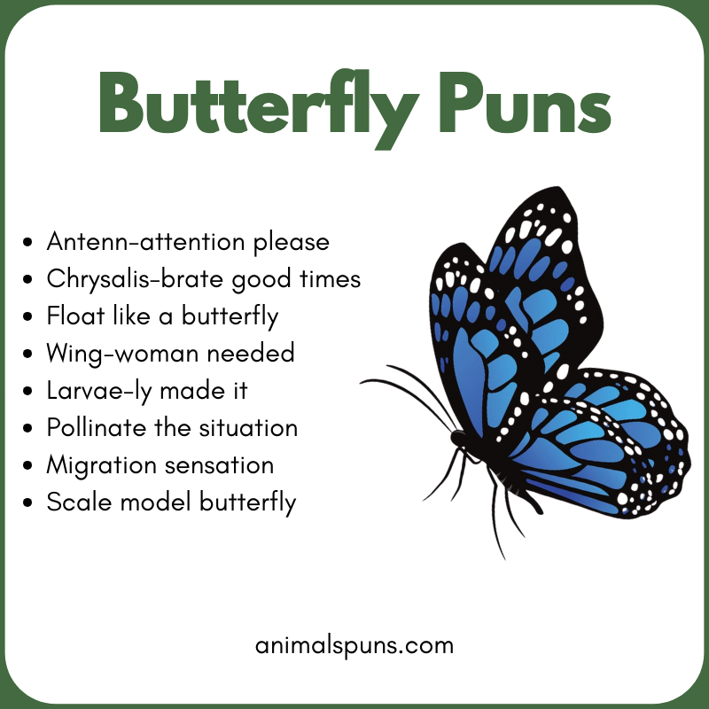 Butterfly Puns