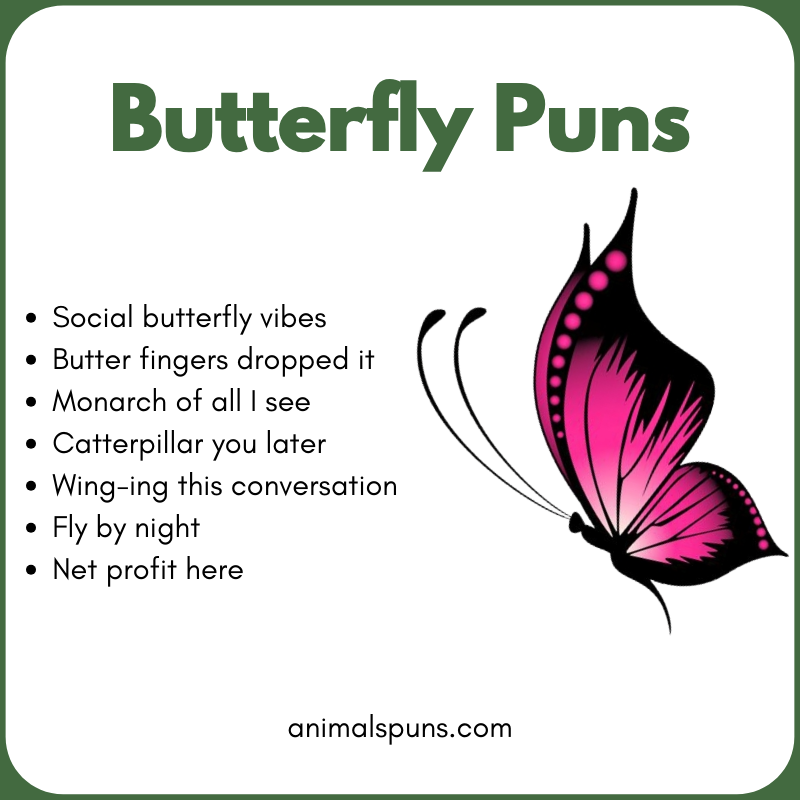 Butterfly Puns