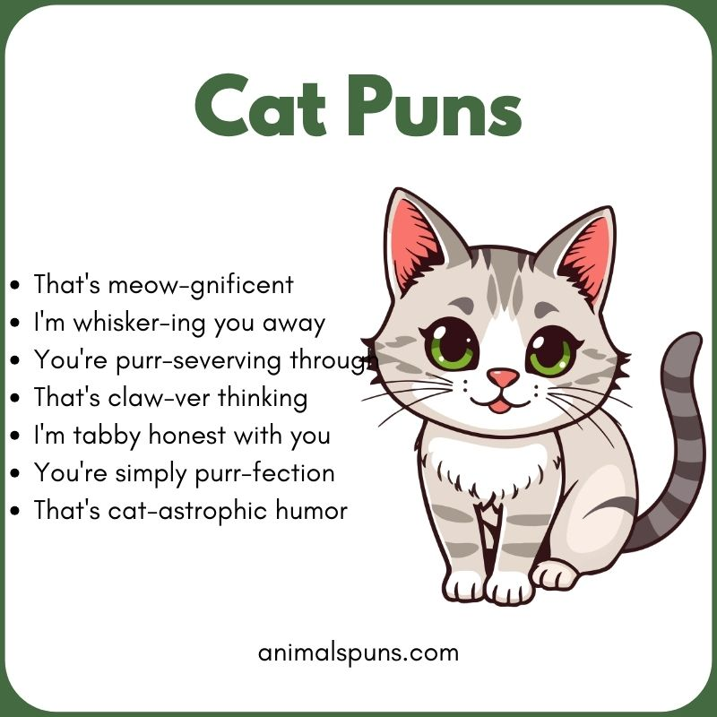 Cat Puns