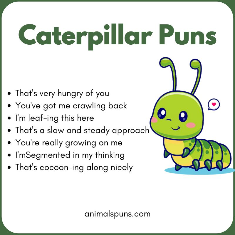 Caterpillar Puns