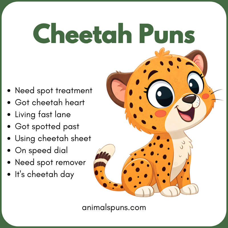 Cheetah Puns