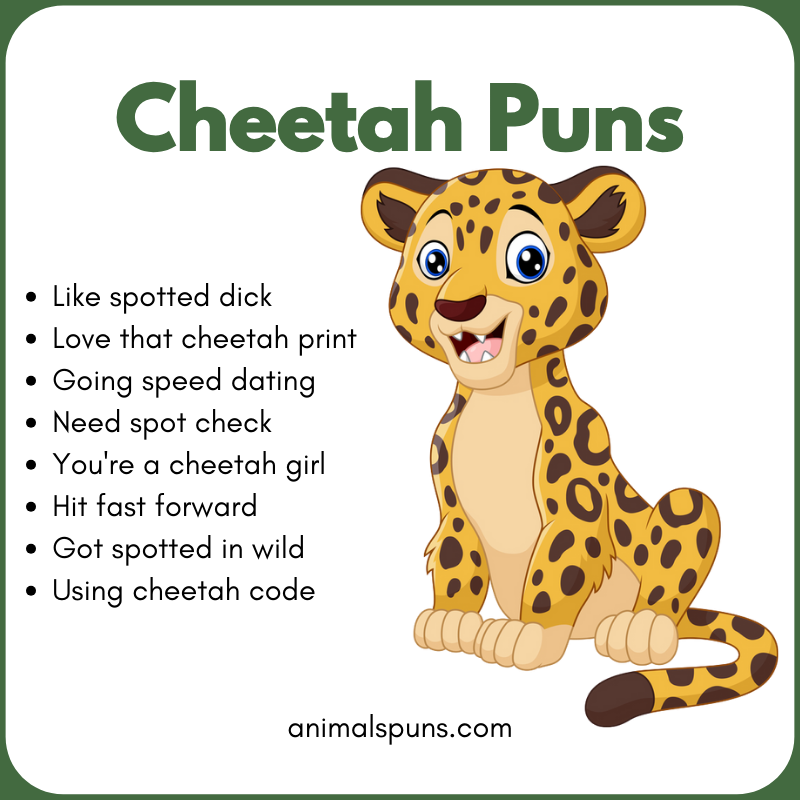 Cheetah Puns