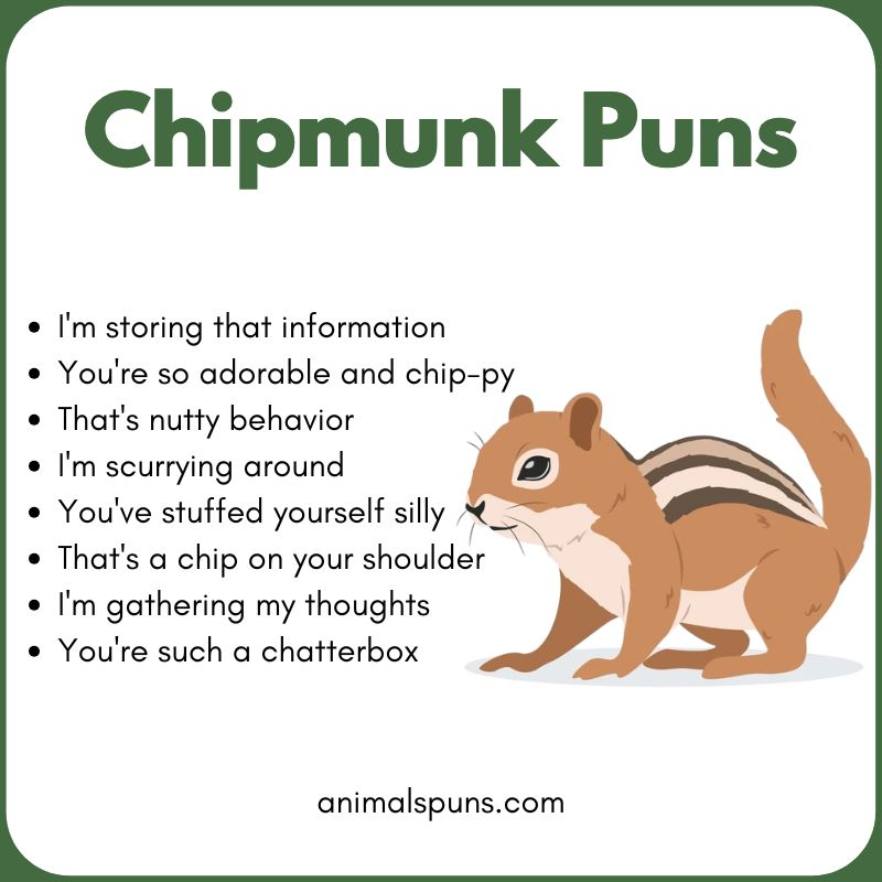Chipmunk Puns