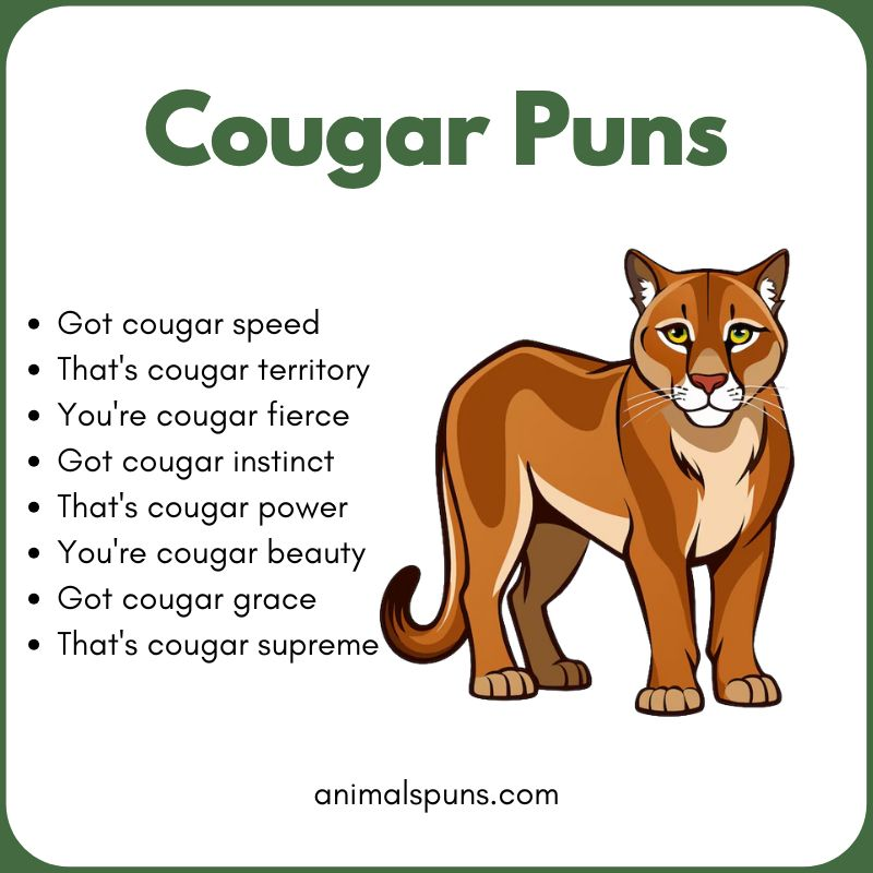Cougar Puns