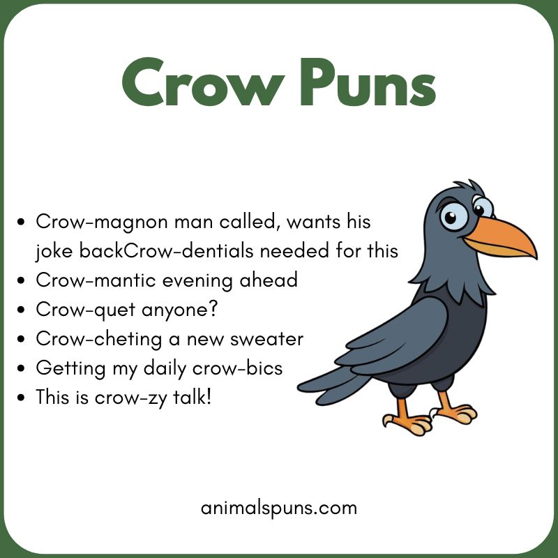 Crow Puns