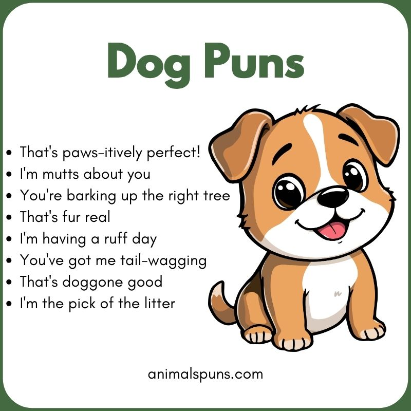 Dog Puns