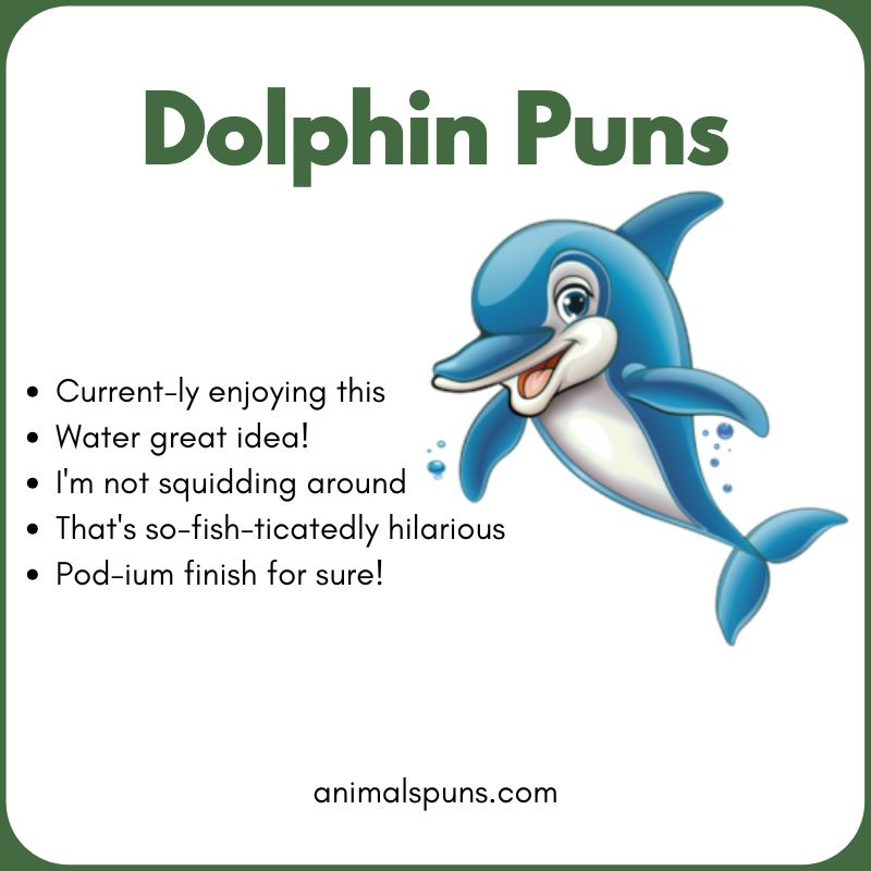 Dolphin Puns