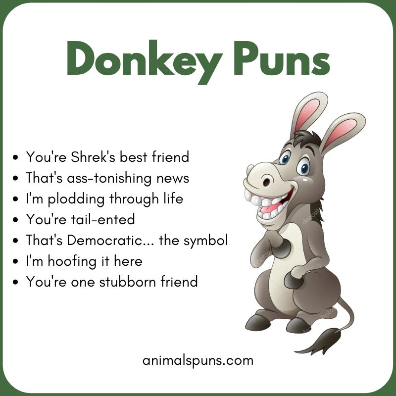 Donkey Puns