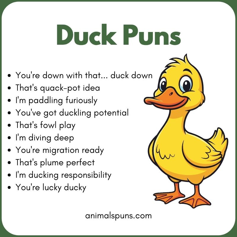 Duck Puns
