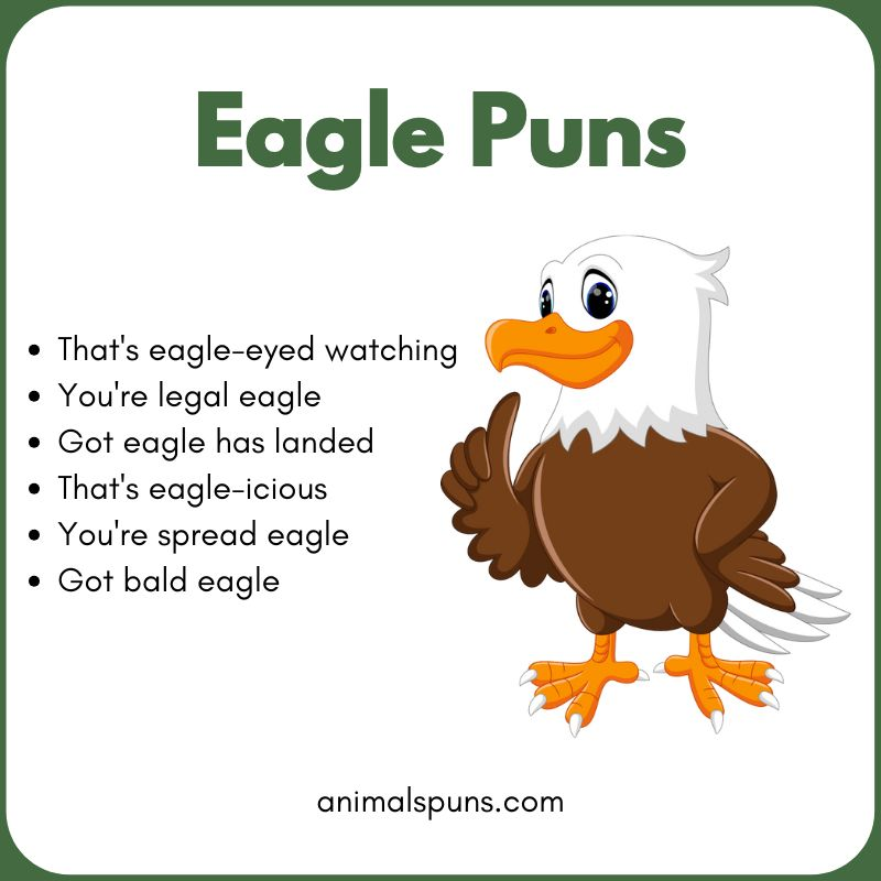 Eagle Puns