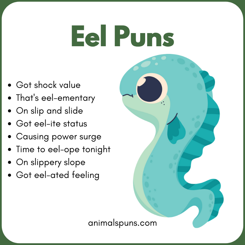 Eel Puns