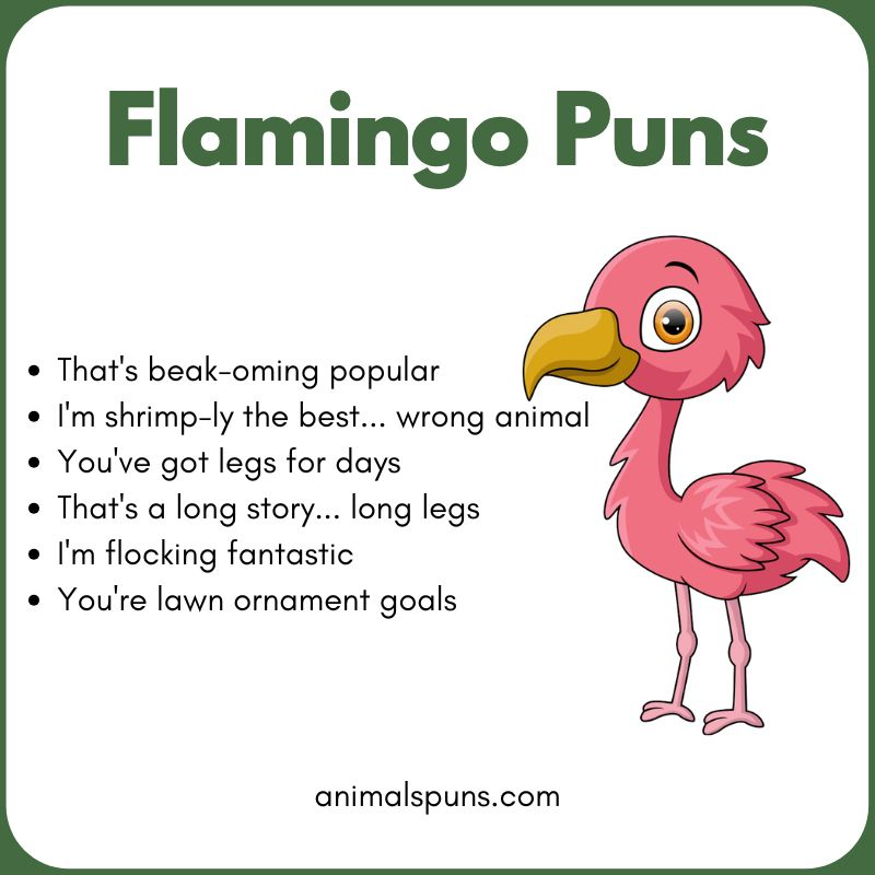 Flamingo Puns