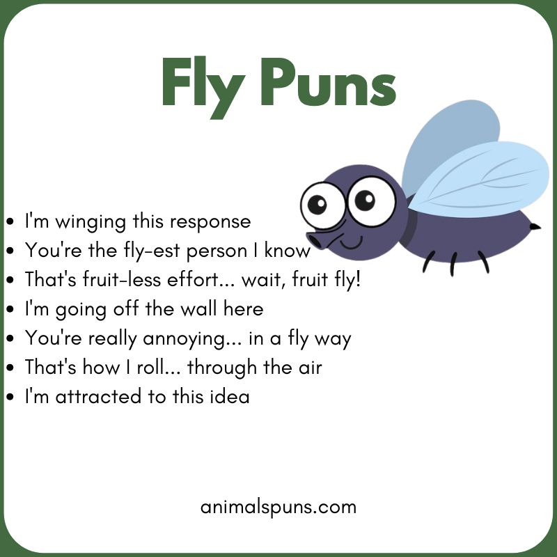 Fly Puns