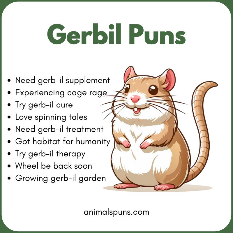 Gerbil Puns