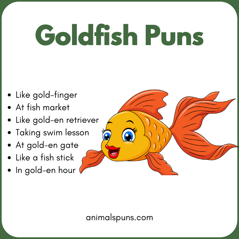 Goldfish Puns 