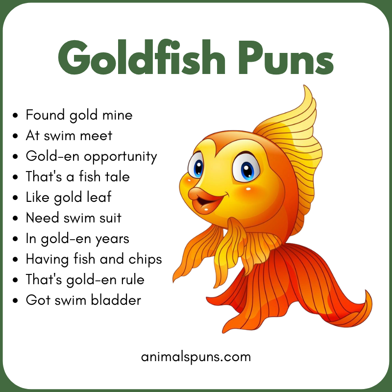 Goldfish Puns 