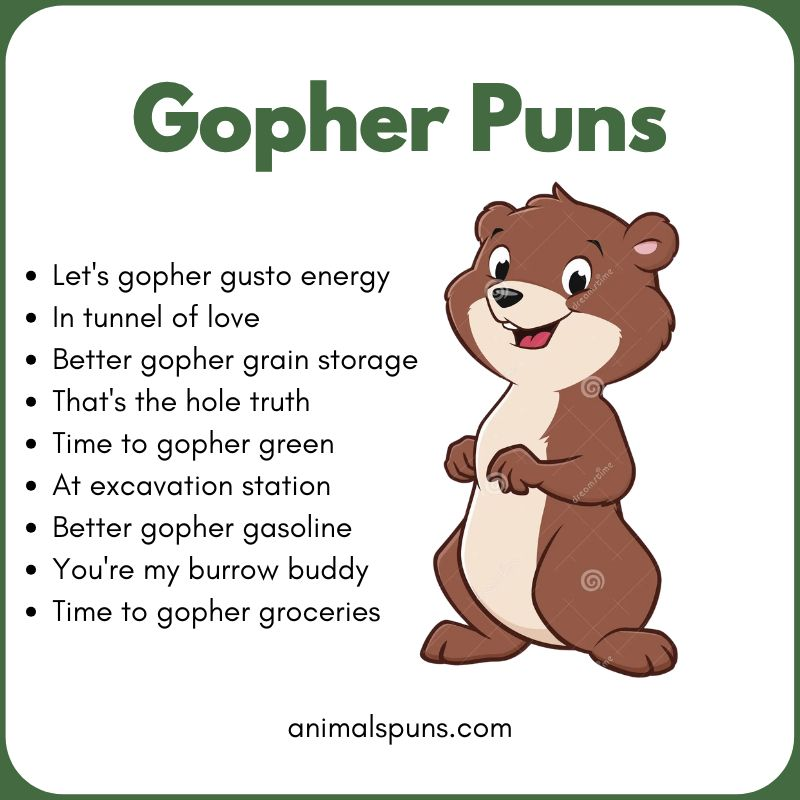 Gopher Puns