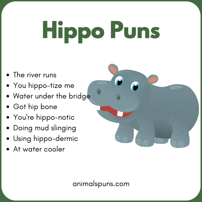 Hippo Jokes