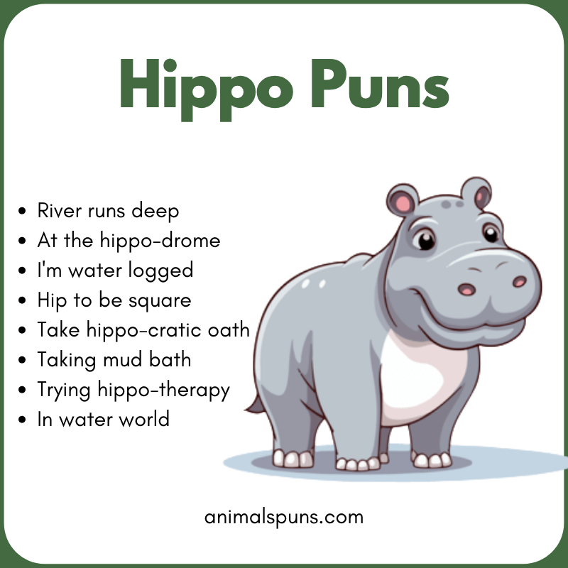 Hippo Puns