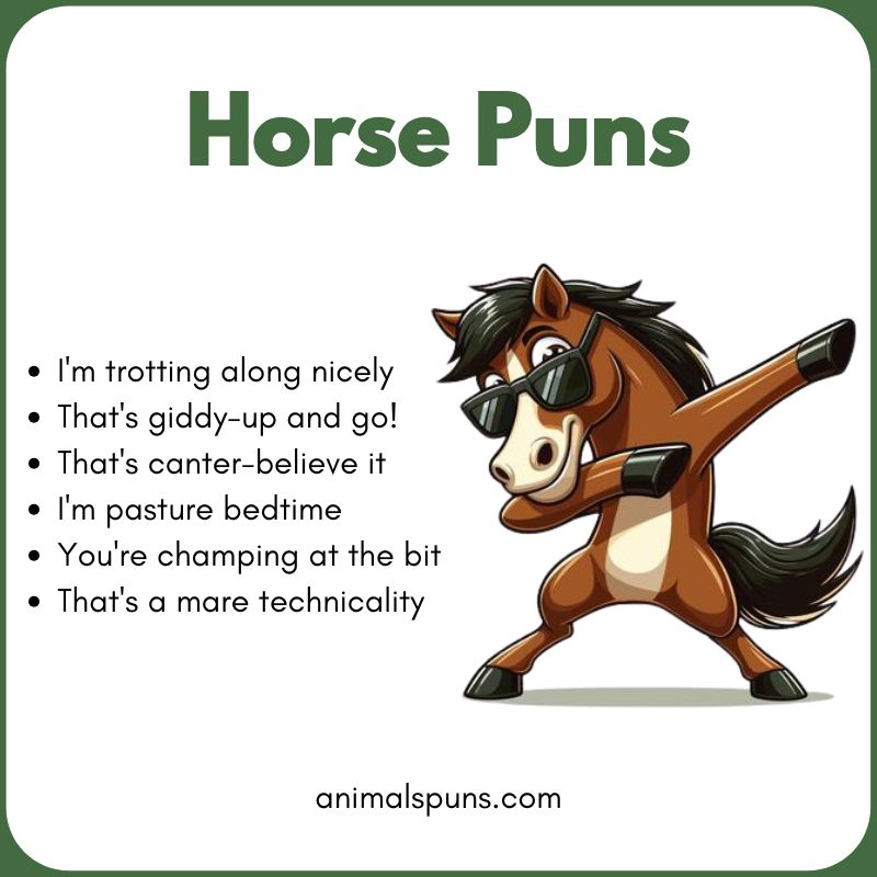 Horse Puns