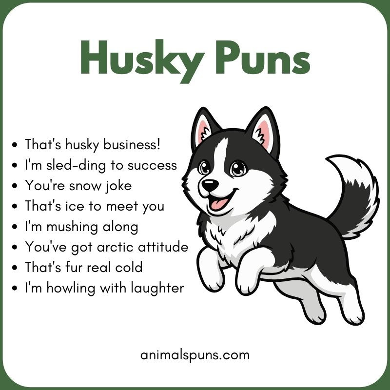 Husky Puns