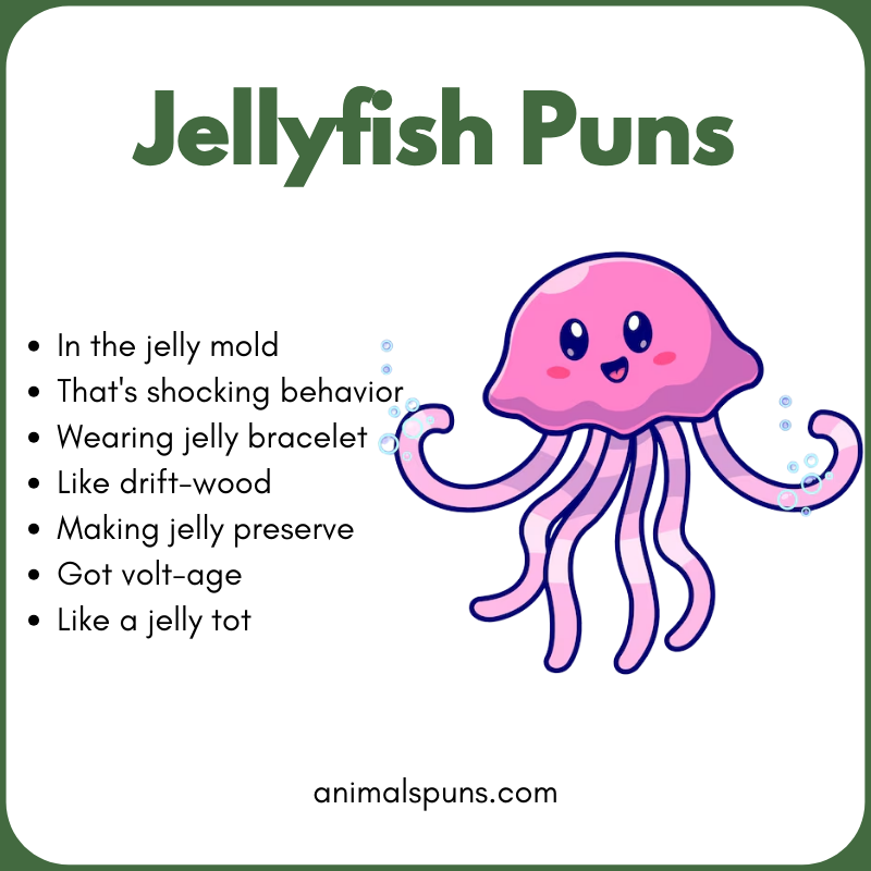 Jellyfish Puns