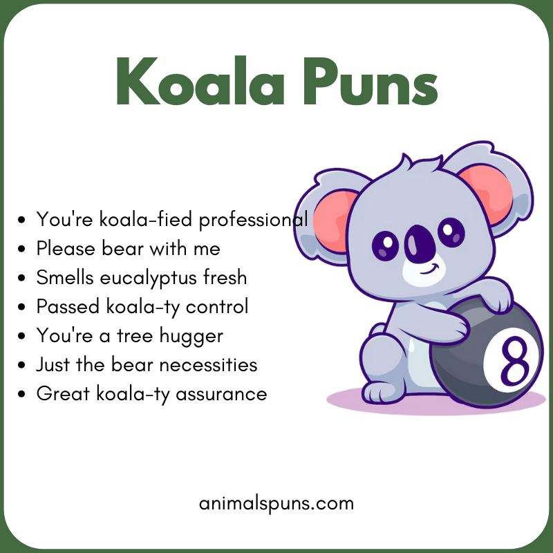 Koala Puns