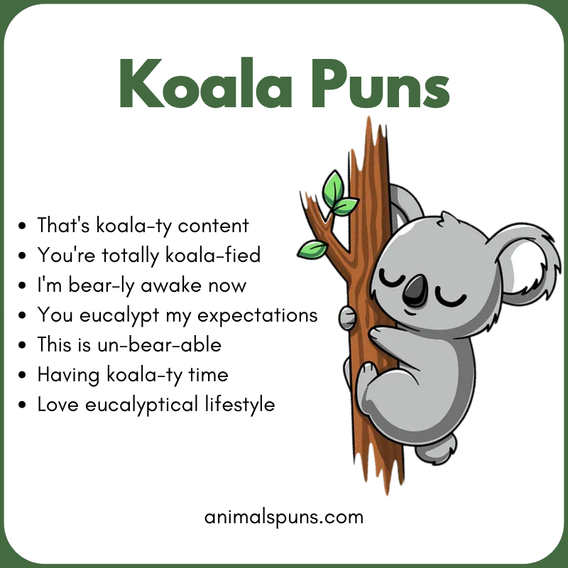 Koala Puns