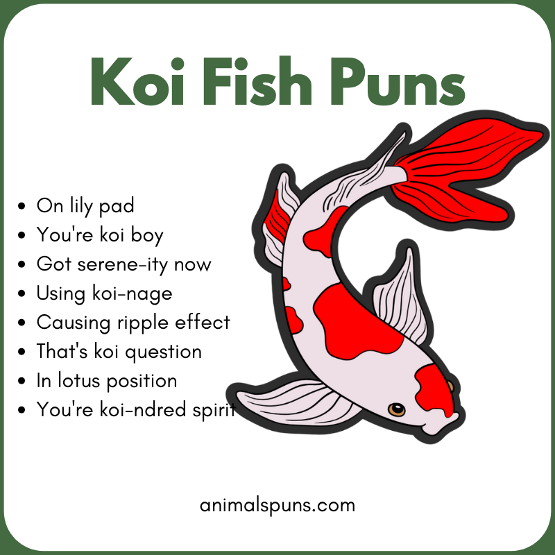 Koi Fish Puns