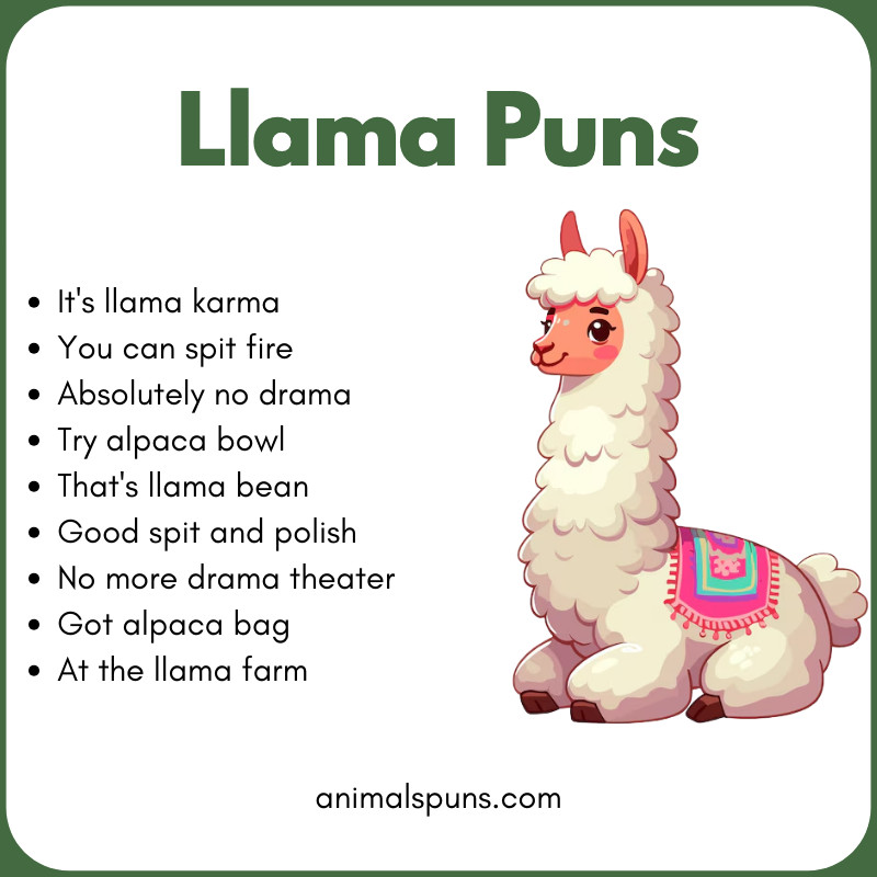 Llama Puns