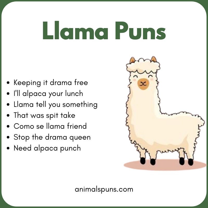 Llama Puns