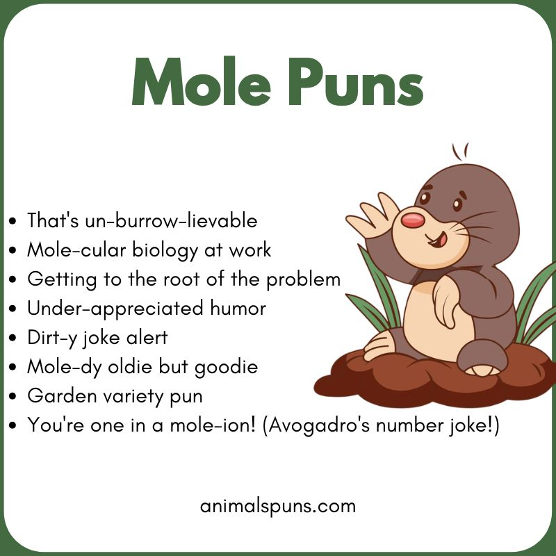 Mole Puns