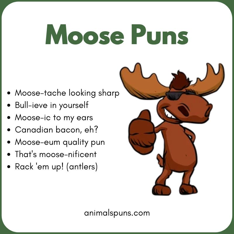Moose Puns