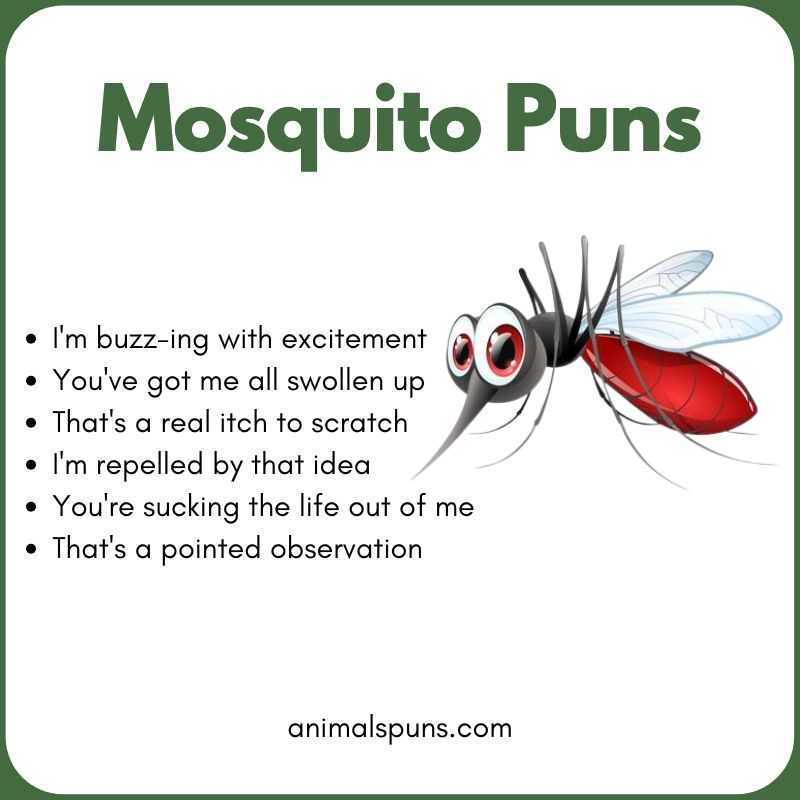 Mosquito Puns
