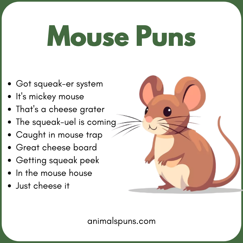 Mouse Puns
