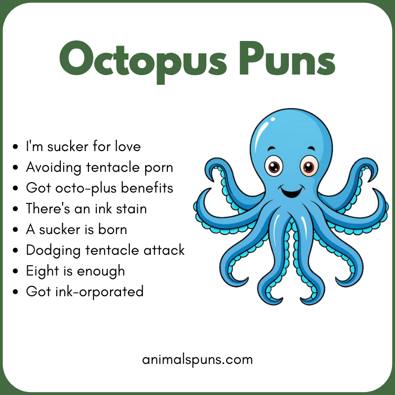 Octopus Puns