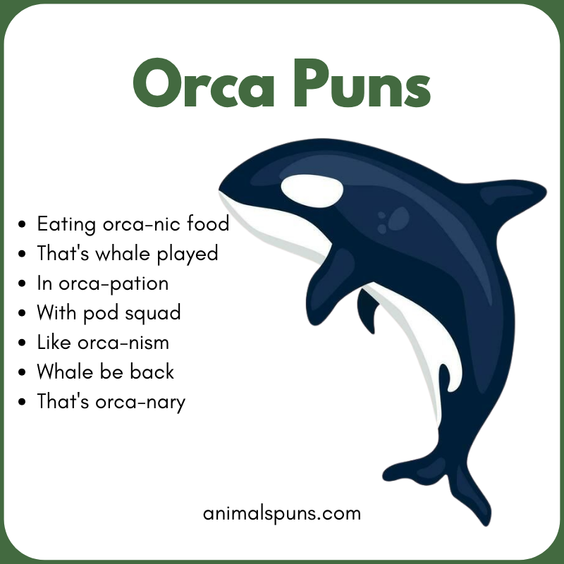 Orca Puns