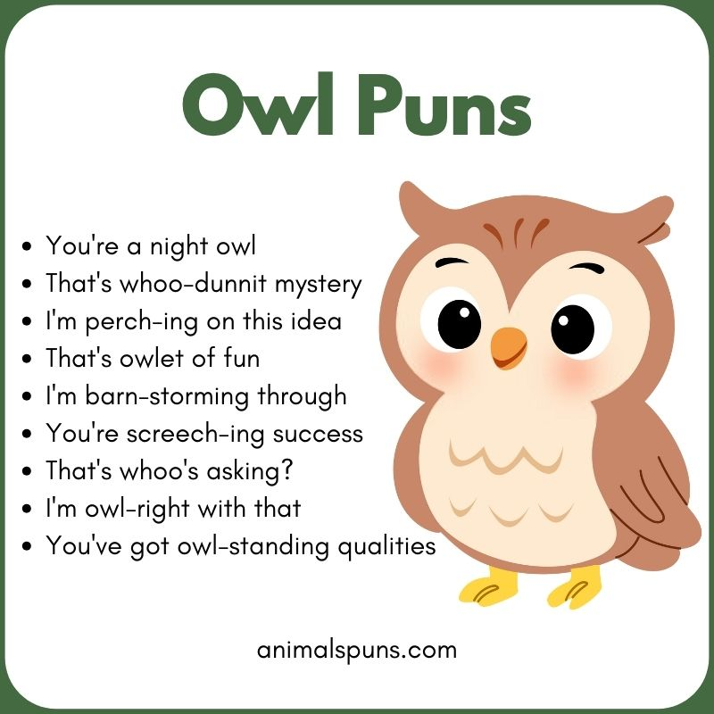 Owl Puns