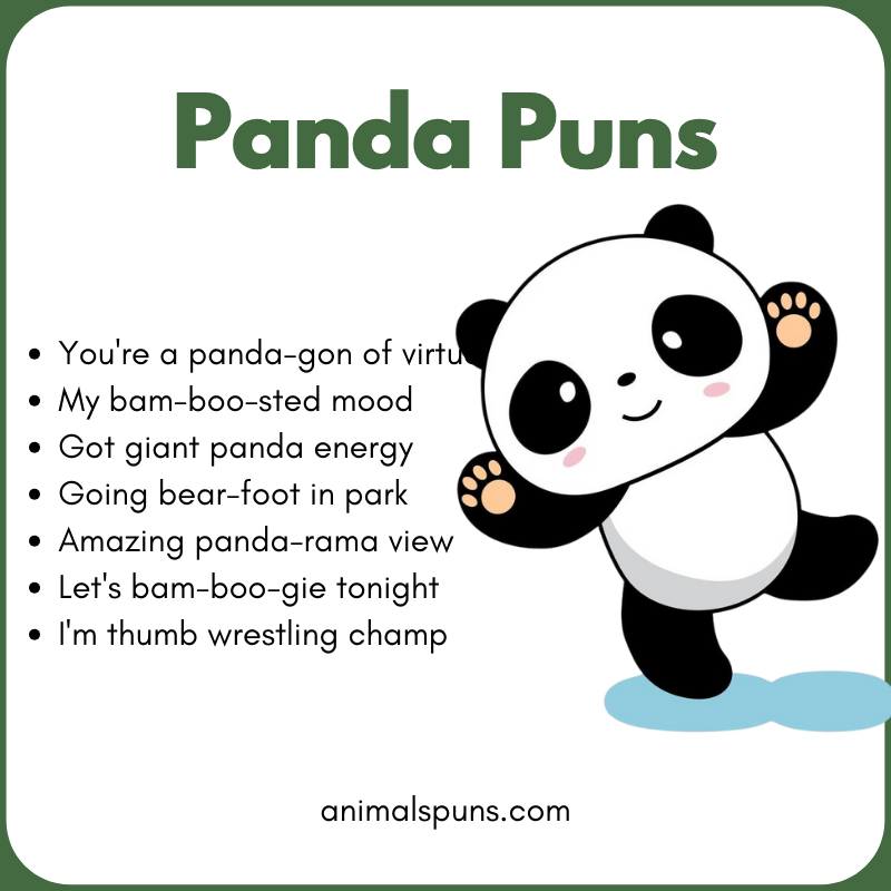 Panda Puns