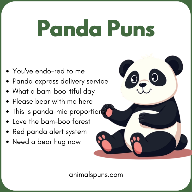 Panda Puns