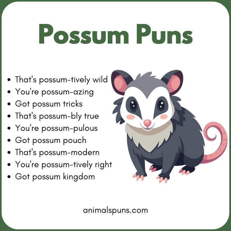 Possum Puns