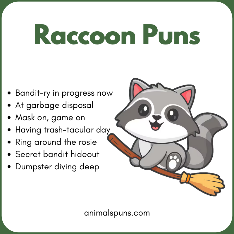 Raccoon Puns