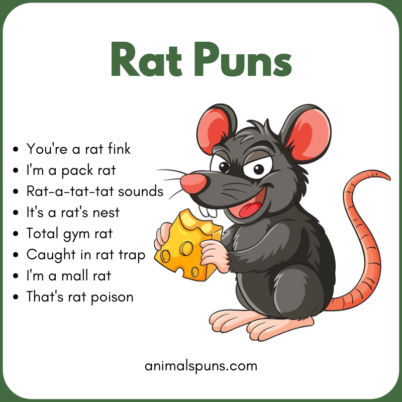 Rat Puns
