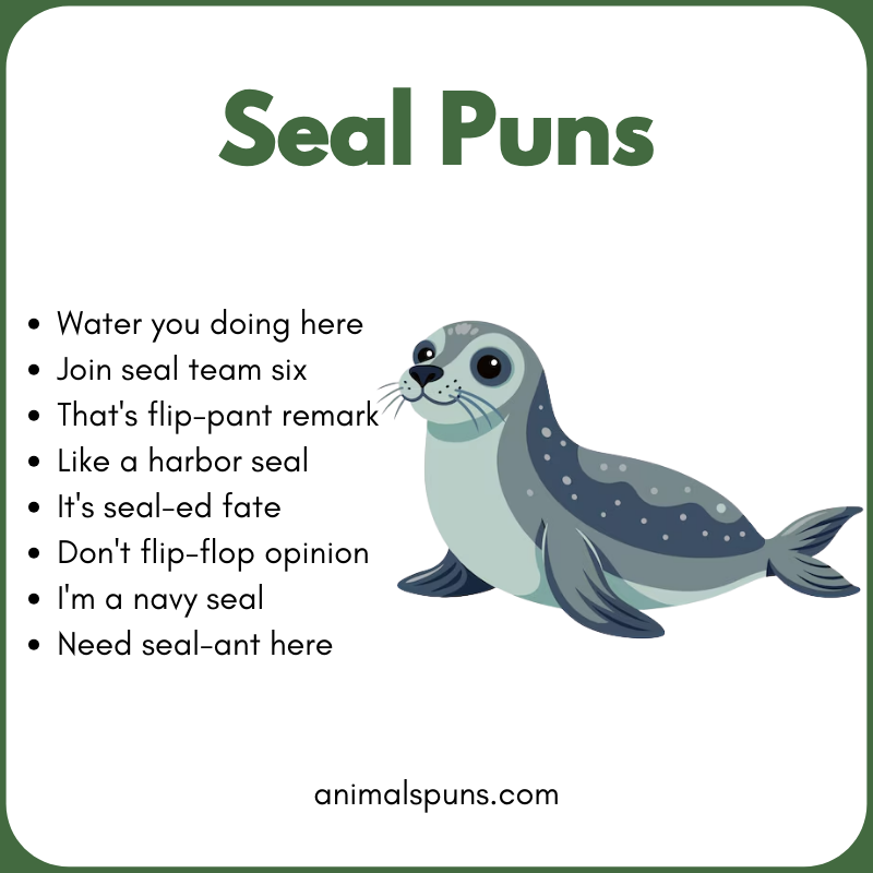 Seal Puns