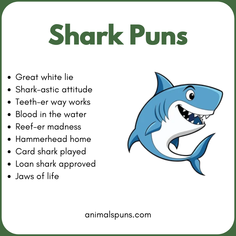 Shark Puns