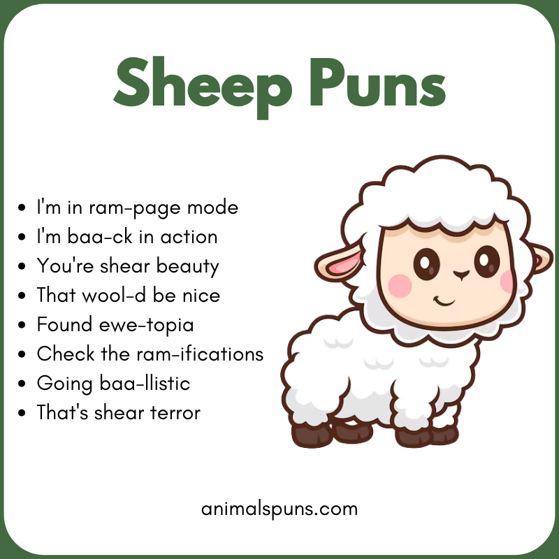 Sheep Puns