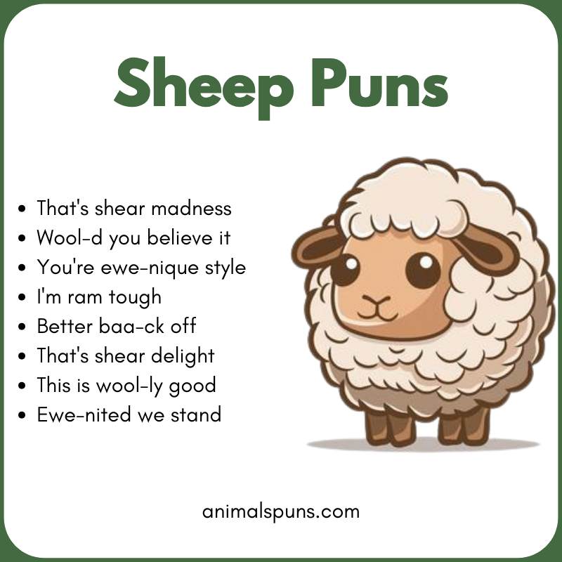 Sheep Puns