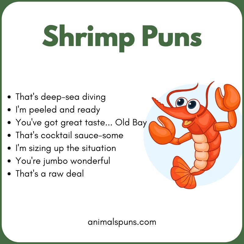 Shrimp Puns