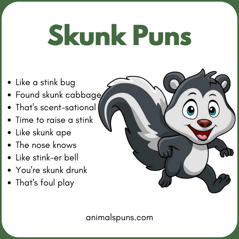 Skunk Puns