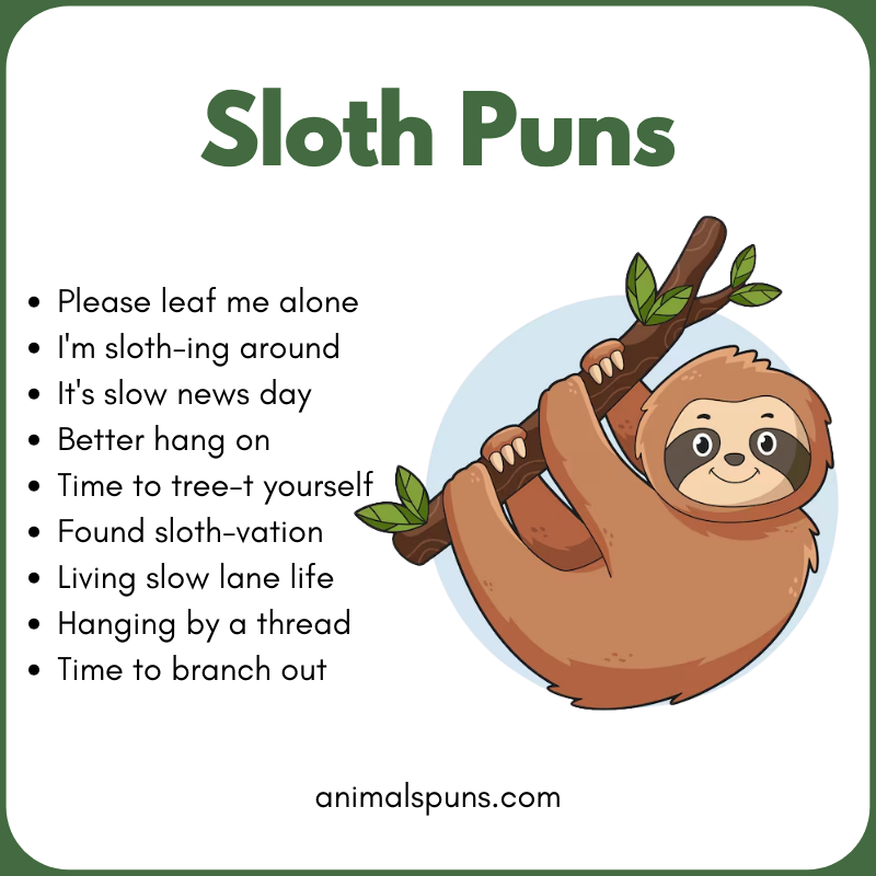 Sloth Puns